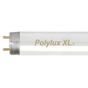 Луминесцентна тръба Tungsram T8 Polylux XLR  15W  G13, 4000 K